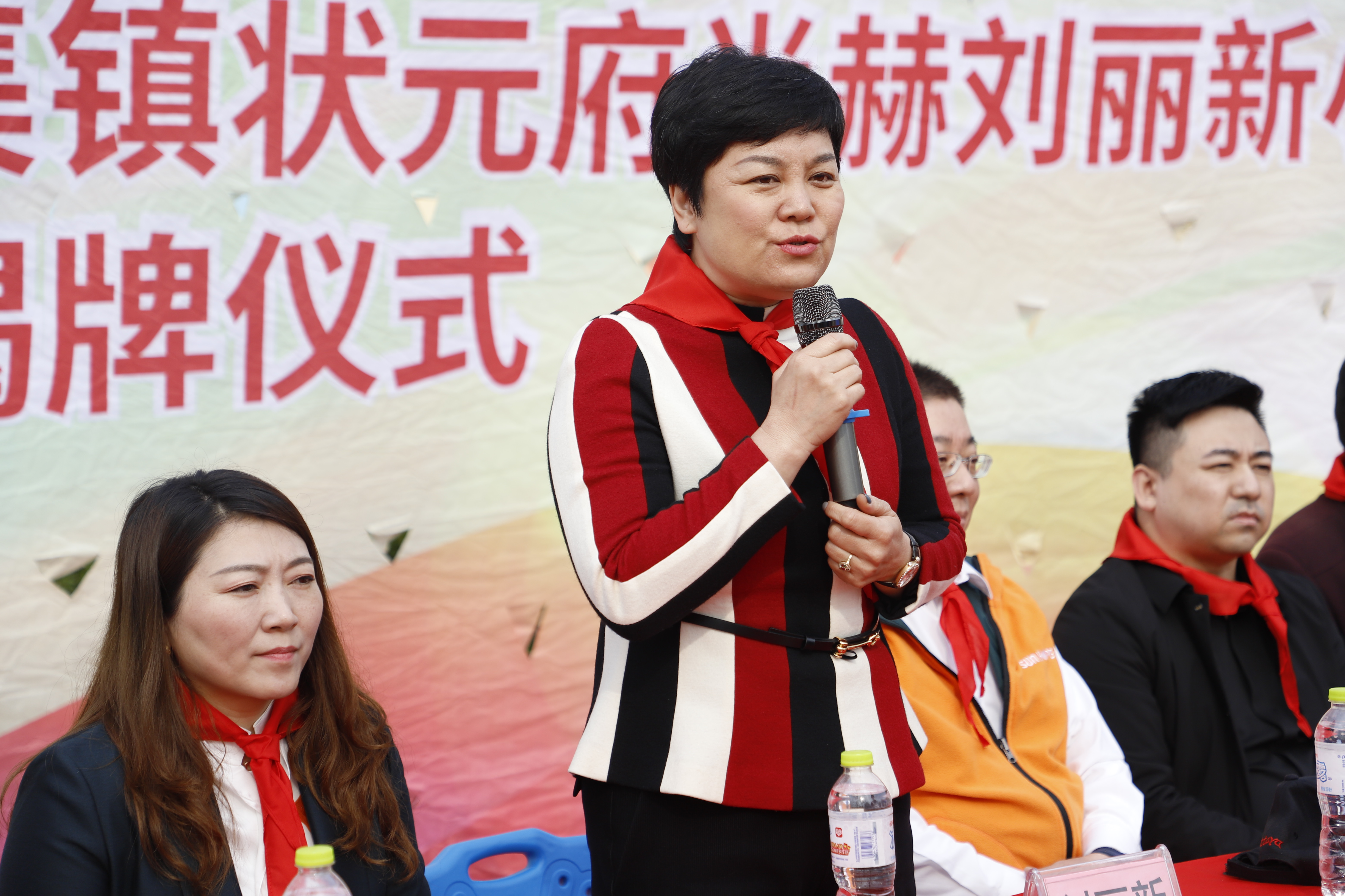 第209所 平度市崔家集镇状元府bty官网刘丽新小学