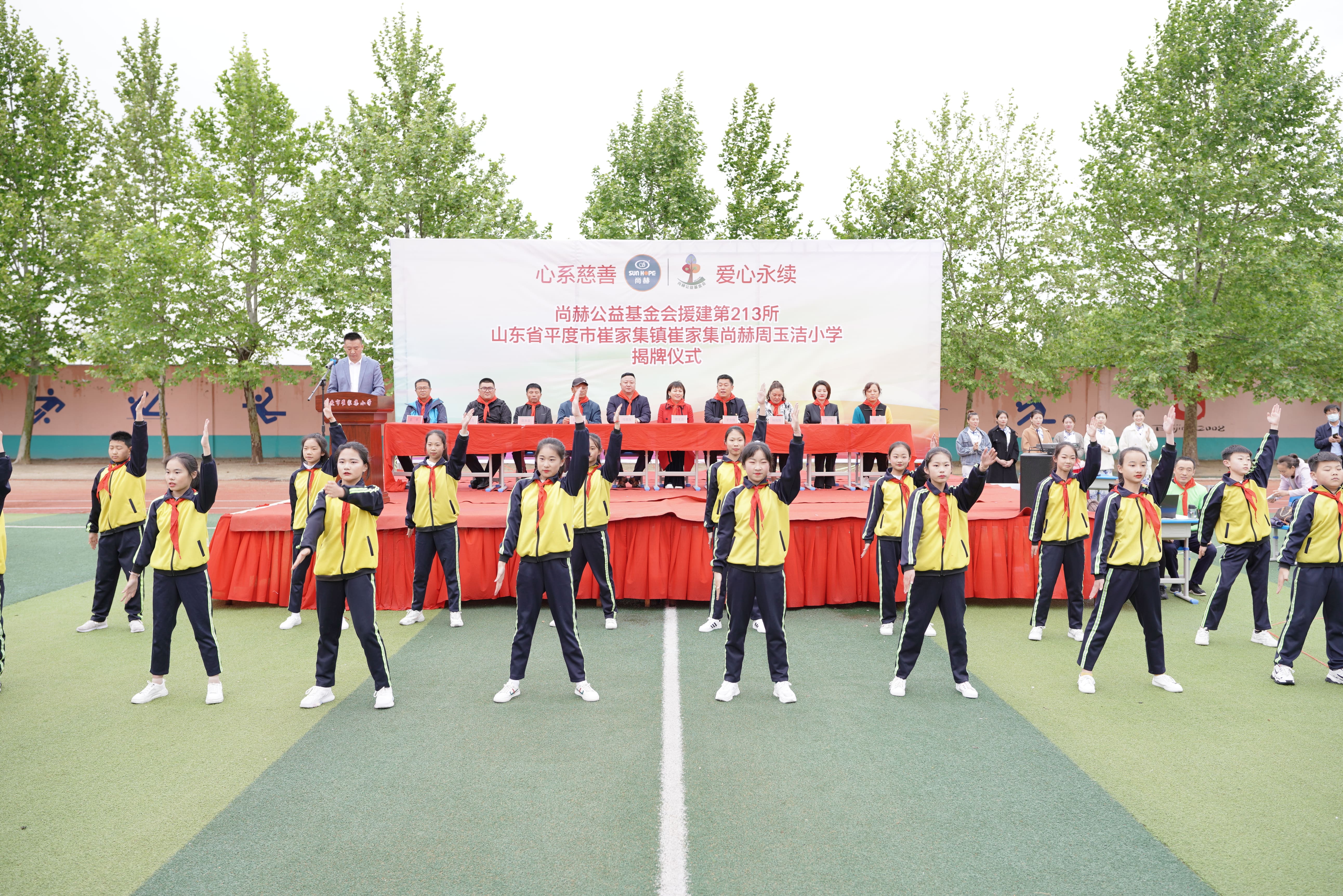 第213所 平度市崔家集镇崔家集bty官网周玉洁小学