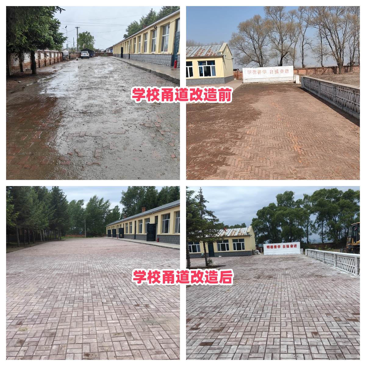 第254所 黑龙江巴彦县黑山镇民乐村bty官网侯玉霞学校