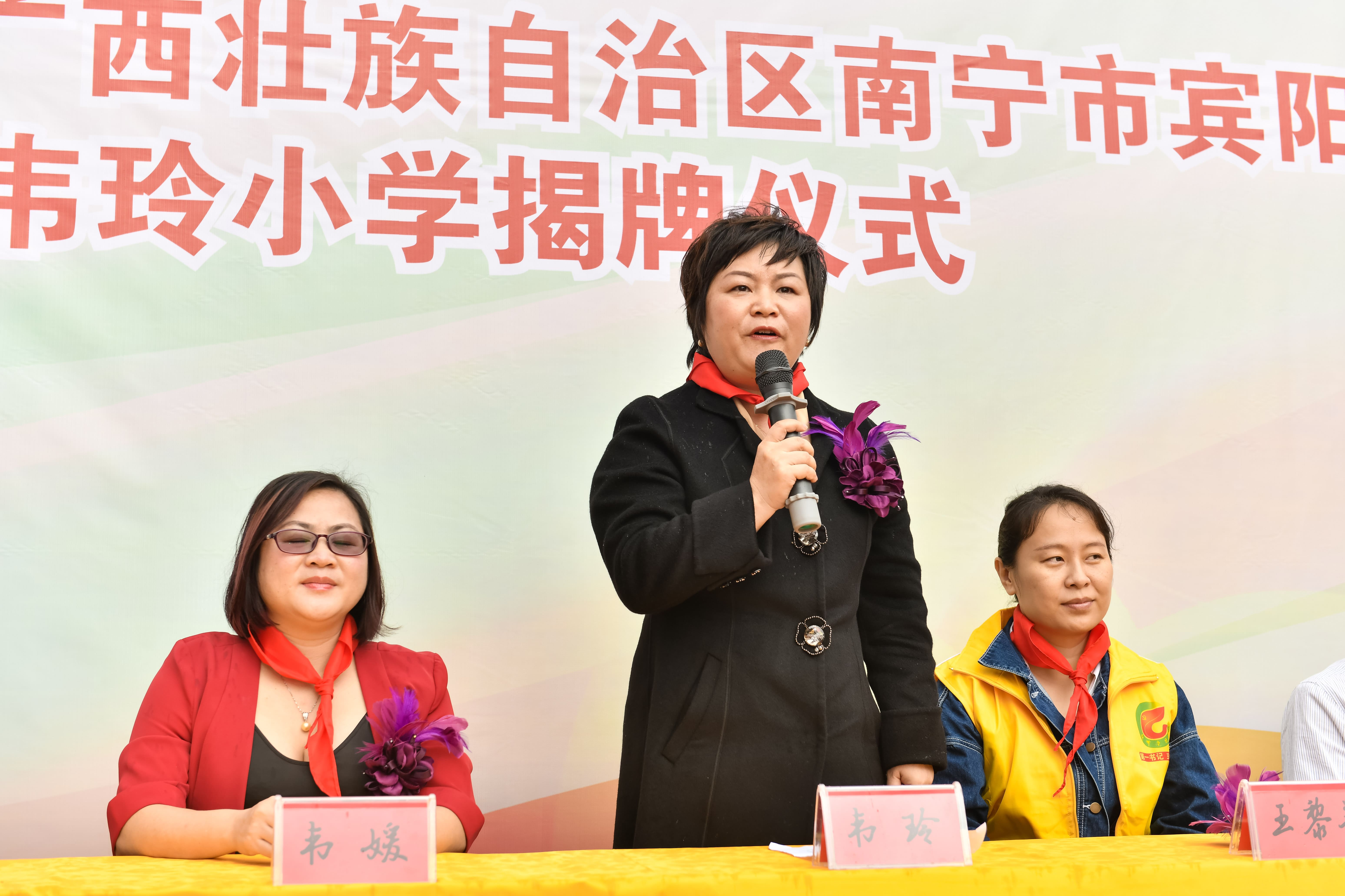 第184所  南宁市宾阳县思陇镇昆仑村bty官网韦玲小学